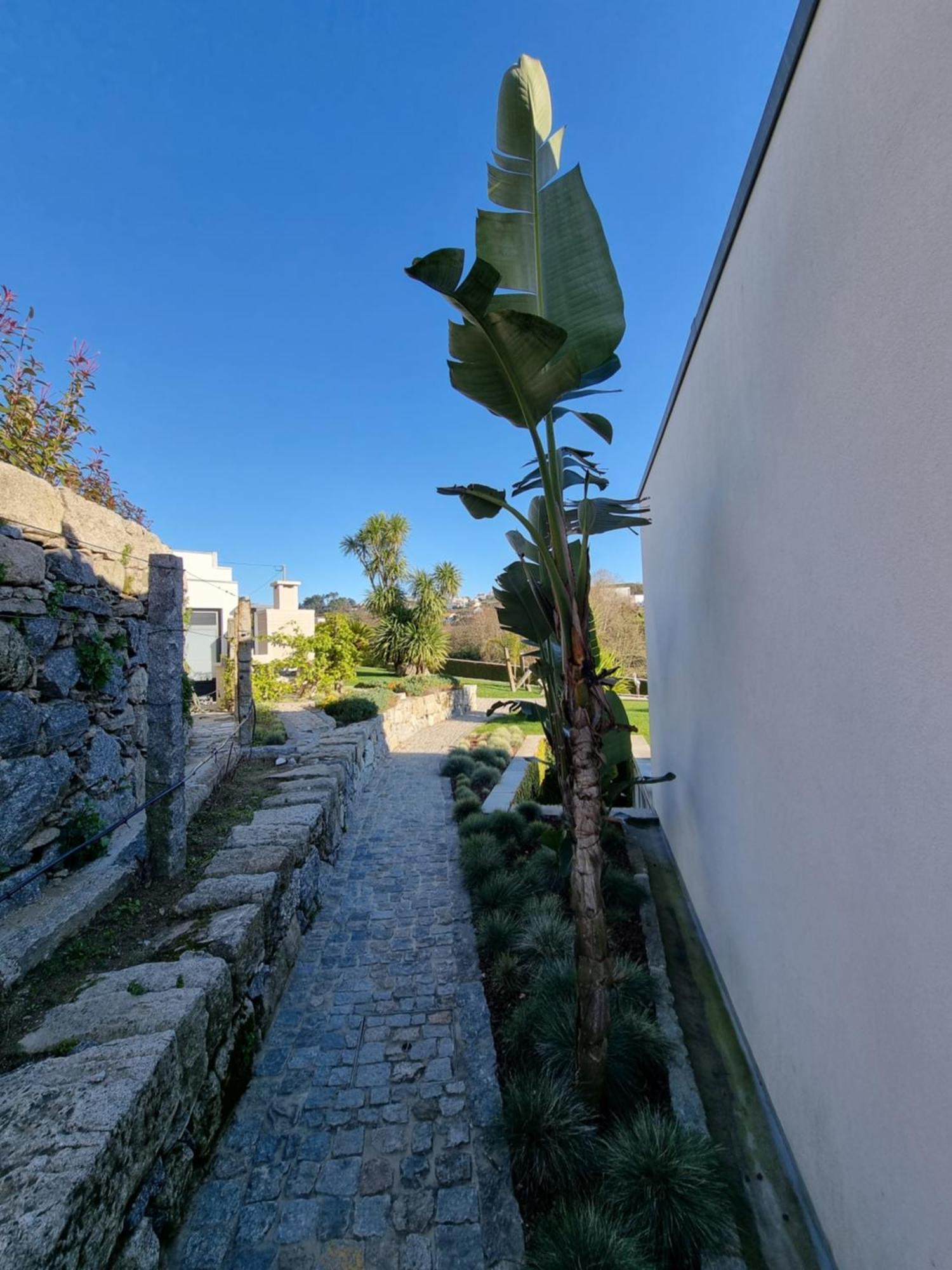 Casa Da Leira Vila Amarante Exterior foto