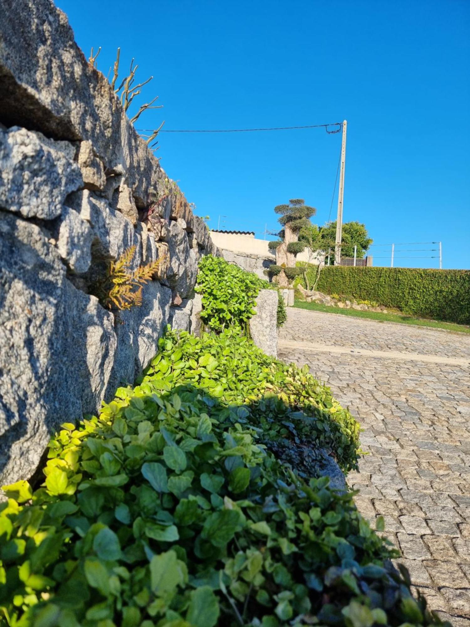 Casa Da Leira Vila Amarante Exterior foto
