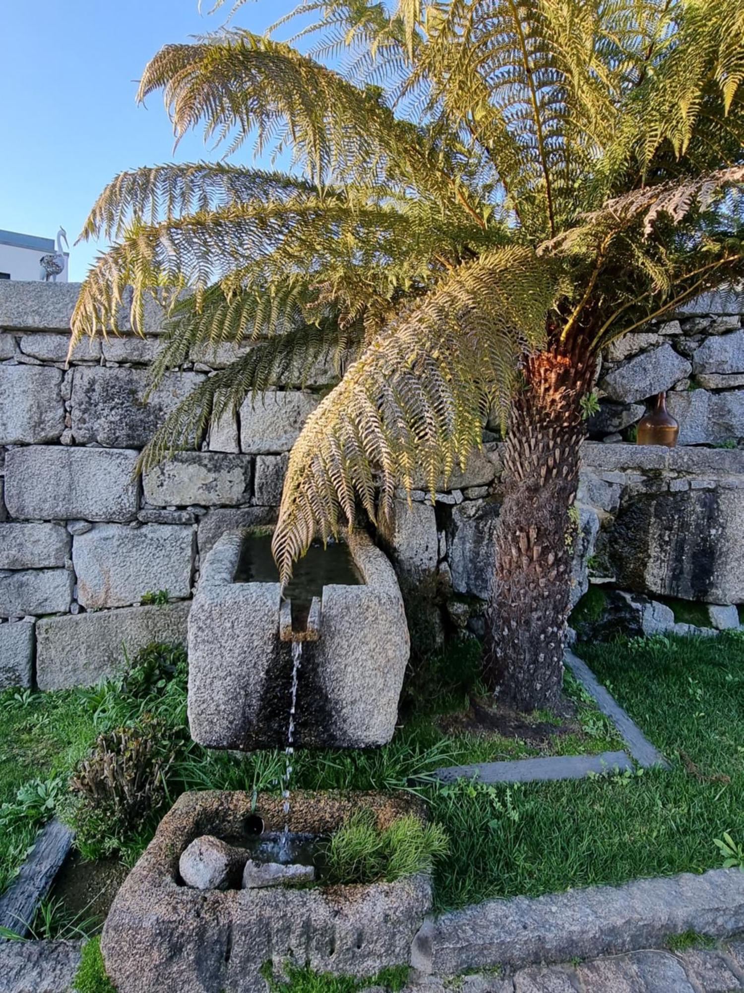 Casa Da Leira Vila Amarante Exterior foto